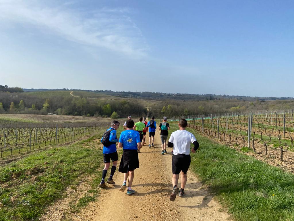 En trail entre les vignes